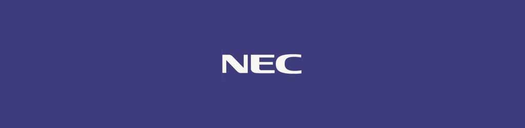 NEC DT400 Manual Preview - ShareDF